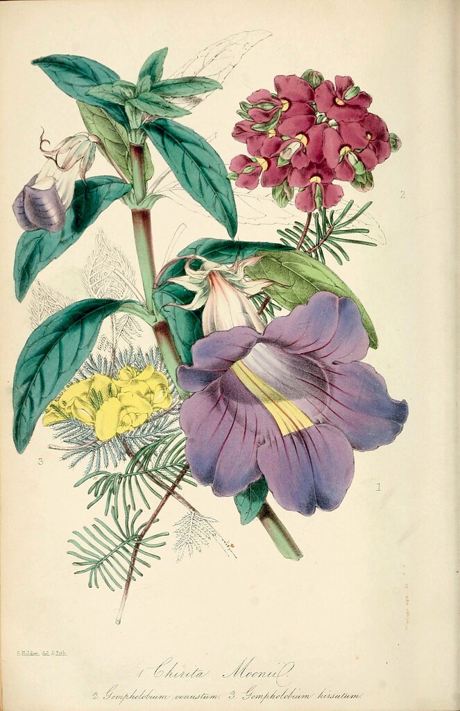 Composition florale élégante pour un mariage sur une table décorée